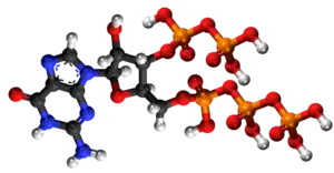 Guanozina pentafosfato38918-96-6