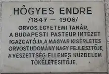 Endre Hőgyes