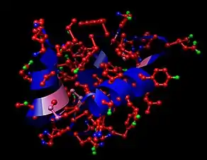 Insulinoruĝe=karbono, verde=oksigeno, blue=nitrogeno, roze=sulfuro