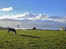 Rigardo sur la Kaikora Ranges de plataĵo ĉe Kaikoura