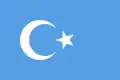 Flag of East Turkestan (1934)