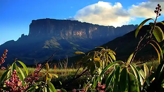 Tepui en Venezuelo