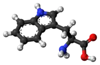 Triptofano