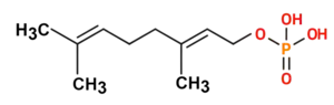 Monogeranila fosfato