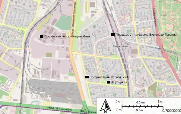 Ĉefaj lokoj: Востряковский проезд, 7к1 — loko de murdo, Площадь у платформы Бирюлёво-Товарная — placo apud fervoja haltejo, ТЦ Бирюза — vendejaro "Birjuza", Покровская плодоовощная база — legombazejo "Pokrovskoje"