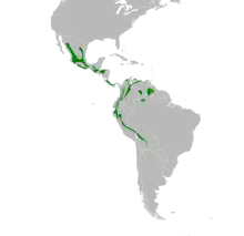 Myioborus miniatus map.svg