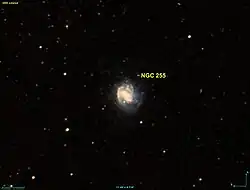 NGC 255