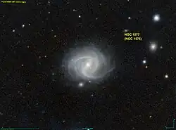 NGC 1575