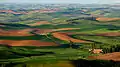 Palouse-montetoj viditaj el Steptoe Butte.