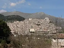 Saracena