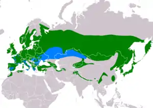 Natura arealo

﻿ Ĉiujare prezencoj
﻿ Vintrejoj