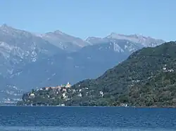 Pino sulla Sponda del Lago Maggiore