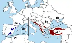 Distribua areo de individuaj subspecioj kaj variantoj
1. P. n. sp. nigra — orienta subspecio
1a: P. n. sp. nigra var. nigra
1b: P. n. sp. Kastelo. Pallasiana
1c: P.n. sp. nigra var. caramanica
2. P. n. sp. salzmannii - okcidenta subspecio
2a: P. n. sp. salzmannii var. salzmannii
2b: P. n. sp. salzmannii var. Corsicana
2c: P.n. sp. salzmannii var. mauretanica