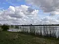 Nederrijn ĉe Wageningen