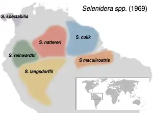 Distribuo de la ses specioj de Selenidera je1969. "S. maculirostris" korespondas al la populacio nune agnoskata kiel S. gouldii, kun la "veraj" S. maculirostris (ne inkluditaj en tiu mapo) loĝanta en la Atlantika arbaro de orienta Sudameriko.