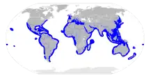 Sphyrnidae distribution map.svg