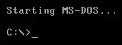 MS-DOS ekas