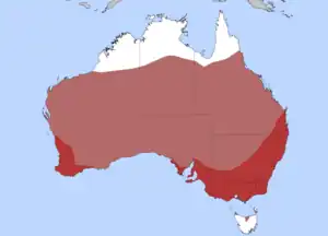 Distribuado de la Aŭstralia koturno  Malhelruĝe = komune  helruĝe = nomadece