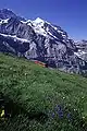 visto al (pendolo) pendola treno BDhe 4/8 ekde de la stacio Eigergletscher (Eiger-glaciejo) al stacio Kleine Scheidegg, (malgranda vertico de akvo aŭ pasejo), komenca stacio de juna vrinio fervojo, (Eiger)