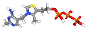 Tiamina trifosfato3475-65-8