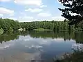 Fiŝlago Trnovský rybník