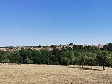 panoramo