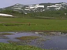 Uryū hezeguneak eta Mashike mendiak (Shokanbetsu-Teuri-Yagishiri Parke Kuasi-Nazionala).