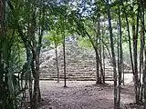 Cobá, Quintana Roo Sabanako klima (Aw)