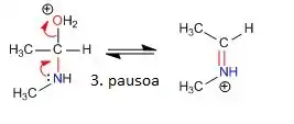 3. pausoa: ur molekularen eliminazioa