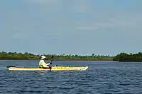 Kayak