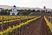 Valle de Guadalupe, Kalifornia BehereaKlima mediterraneoa uda beroekin (Csa)