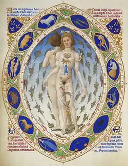 Les Très Riches Heures du duc de Berry: L'Homme anatomique edo Homme zodiacal, 1411-1416 aldean, Condé museoa, Chantilly.