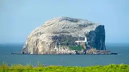 Bass Rock uhartea.