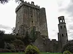 Blarney gaztelua.