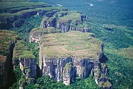 Chiribiquete mendilerroa, Amazonaseko eskualdea