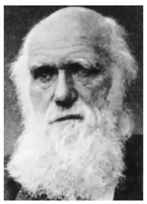 Darwin