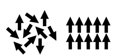 Paramagnetismoa: momentu magnetikoak material paramagnetiko batean. Momentuak desordenaturik daude eremu magnetikoa aplikatuta ez dagoenean eta eremu magnetiko aplikatuaren aurrean ordenatuta.