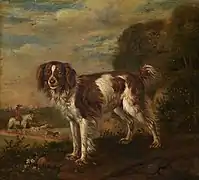 Spaniel bat (1653)