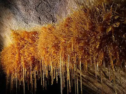 Geologia. Espeleotemak Goikoetxe koban (Busturia, Bizkaia).