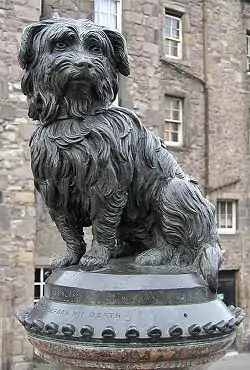 Greyfriars Bobby estatua, turismogune garrantzitsua.