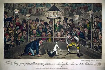 Jacco Macacco at the Westminster-Pit1821.