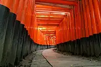 Fushimi Inari-taishako torii korridorea.