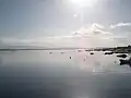 Habe zubi luzea. Arousa. Galizia.