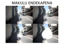 Makulu Endekapena