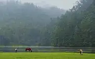 Lagunas de Zempoala, MorelosKlima epela, negu lehorrekin (Cwb)