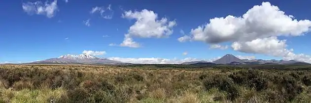 Ruapehu eta Ngauruhoe mendien ikuspegia Rangipo basamortutik ikusita.