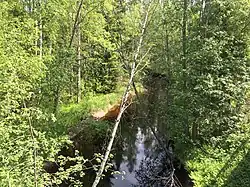 Koirinjoki Koirinojan kylän kohdalta