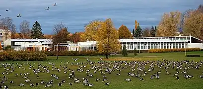 Aarnivalkean koulu Silkkiniityltä nähtynä. Arkkitehdit Heikki ja Kaija Sirén, valmistunut 1957.