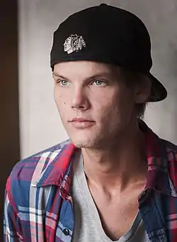 Avicii vuonna 2014