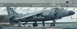 BAe Sea Harrier FA2